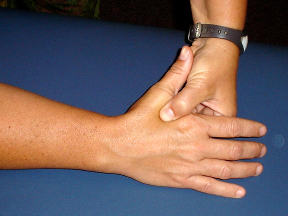 Therapeutic Insight: The Myofascial Release Perspective�The Web of Life, MASSAGE Magazine