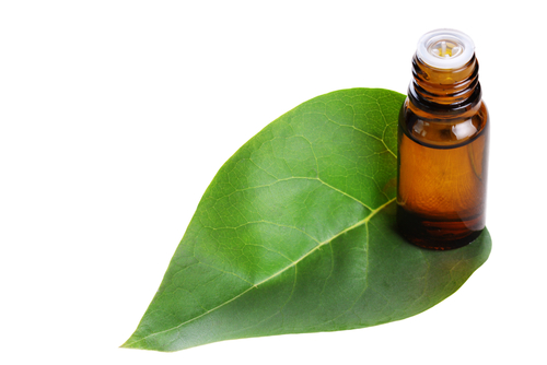 Branding is Essential with New Green Economy, MASSAGE Magazine