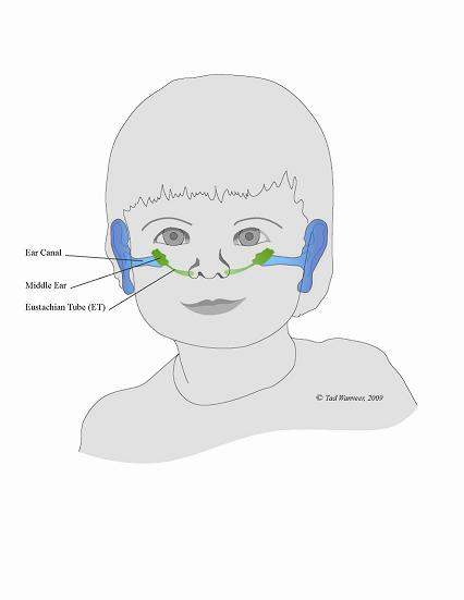 Alleviating Ear Infections Through CranioSacral Therapy, MASSAGE Magazine