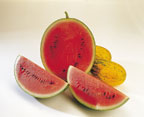 Image watermelon cut in half and quarters