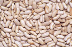 Image bunch of beans