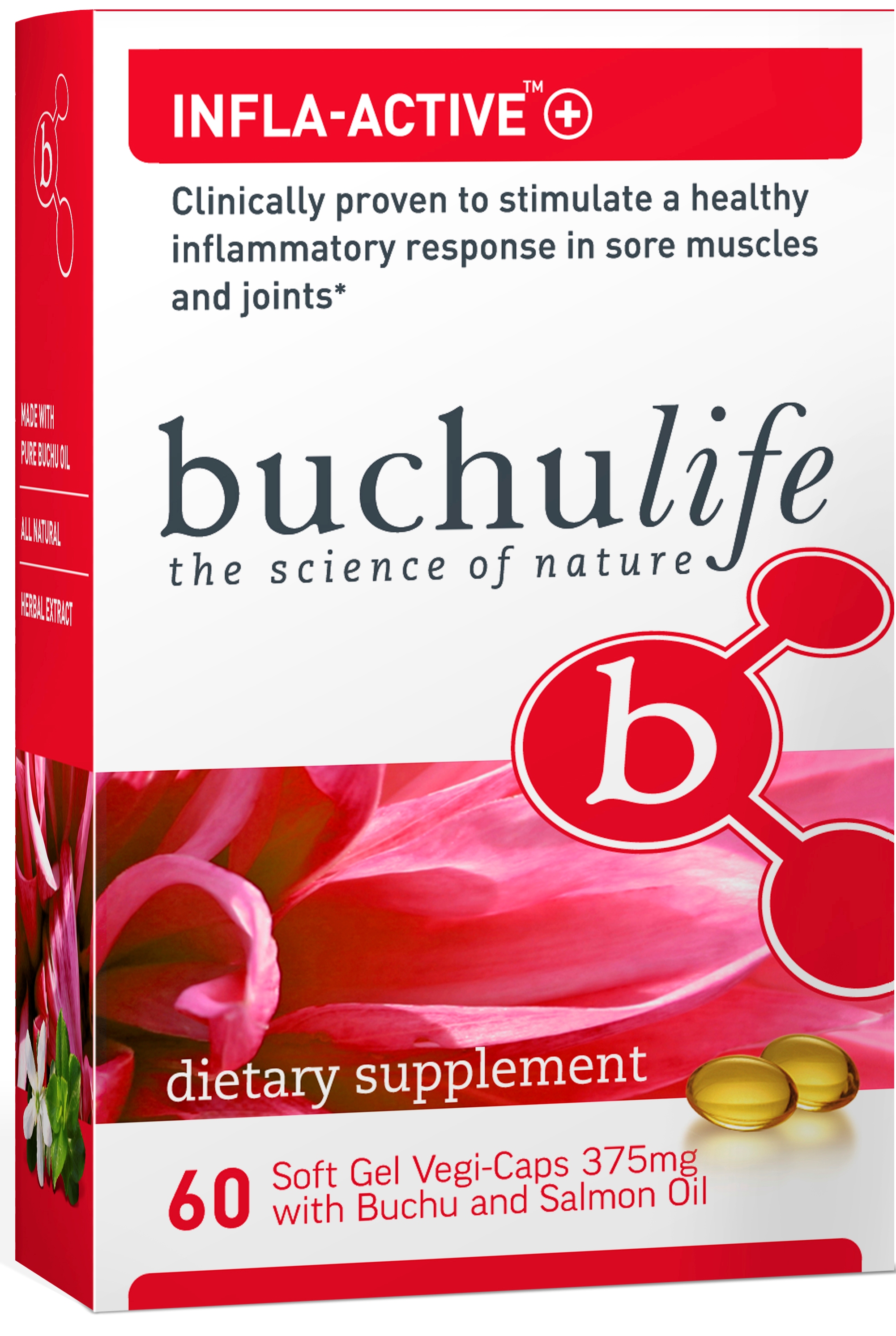 Infla-Active+ – Products Directory | Massage Magazine