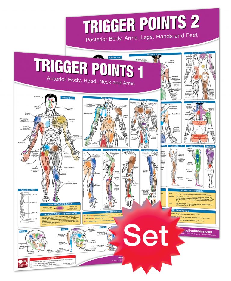Trigger Point Posters Products Directory Massage Magazine trigger-point-posters-products-directory-massage-magazine