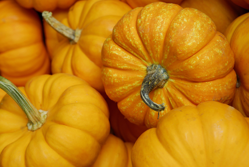 Nutritional Benefits of Pumpkins, MASSAGE Magazine