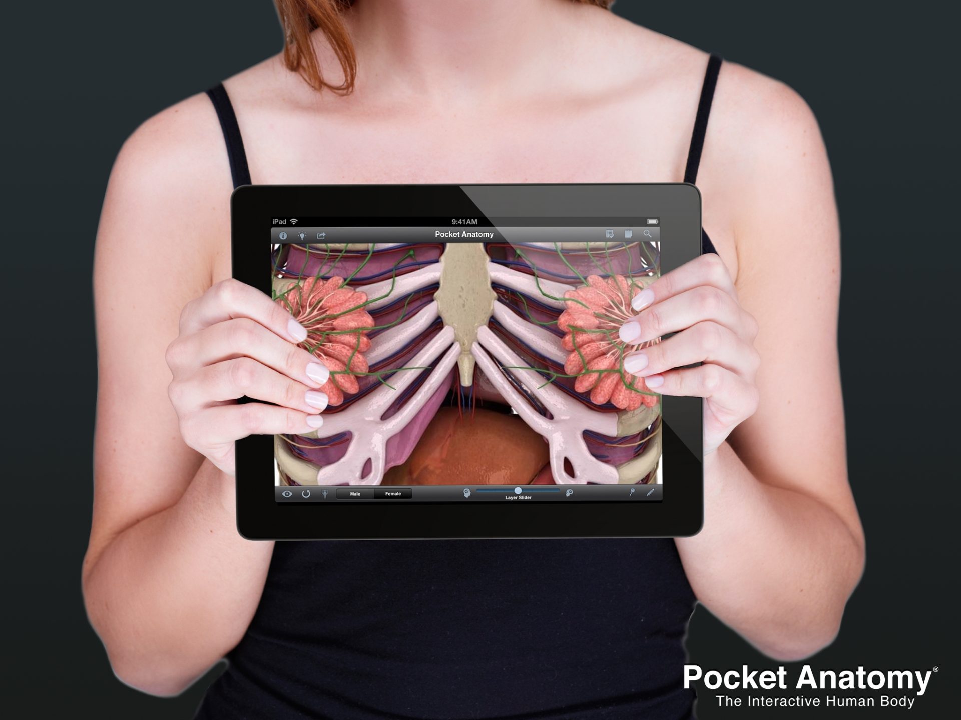 New Pocket Anatomy App Launches to Help Massage Therapists and Students, MASSAGE Magazine