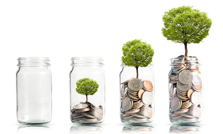 Four jars: empty then with a growing number of coins (money) with a growing tree on top of each pile, are shown from left to right.