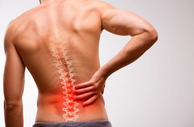 Massage therapists can play a vital role in identifying weakened, sleepy and ineffective multifidus muscles by helping them or refering someone who can.