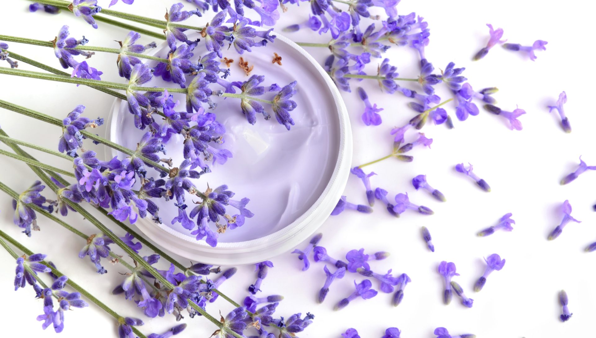 lavender, an ingredient in relaxing massage cream