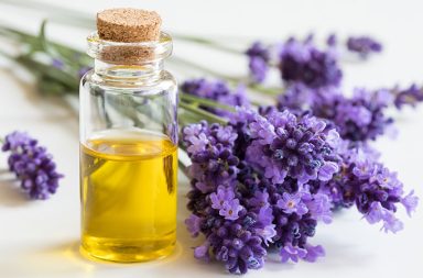 Aromatherapy has always occupied a paramount place in every major culture, whether for cosmetic, religious, therapeutic or even spiritual purposes.