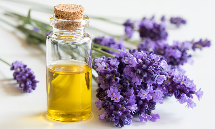 Aromatherapy has always occupied a paramount place in every major culture, whether for cosmetic, religious, therapeutic or even spiritual purposes.