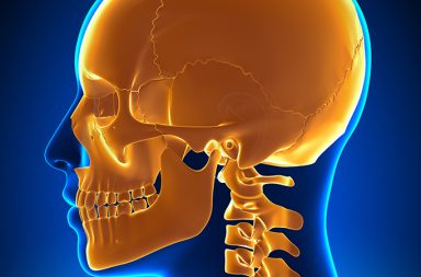 “The Memory Palace of the Bones” is a new book that is an unprecedented exploration of the anatomy of the bones of the body. It offers a set of reflections on the role each individual bone plays in our lives. This book combines the anatomical expertise of the authors—David Lauterstein and Jeff Rockwell, DC— with their appreciation for the beauty of the body, presenting a unique perspective that values extensive clinical expertise as well as imagination as a source of wisdom and depth.