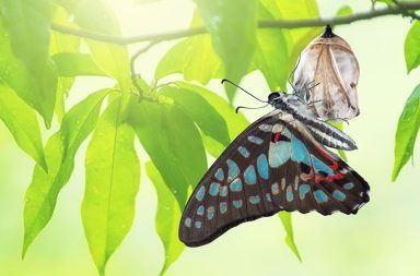 Sometimes in the midst of suffering and trauma, one will find profound joy and imminent transformation. I know that might sound difficult to create in your mind, especially if one is trudging through a traumatic event currently in their life, but I will attest that it can be done, because it did happen for me.