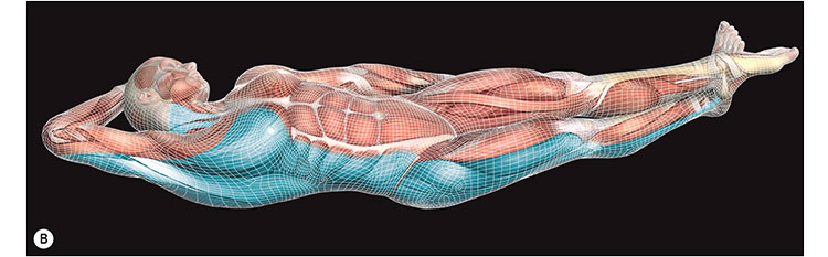 Figure 2b: Lateral Net stretch at end range. (Permission: Handspring Publishing Ltd.)
