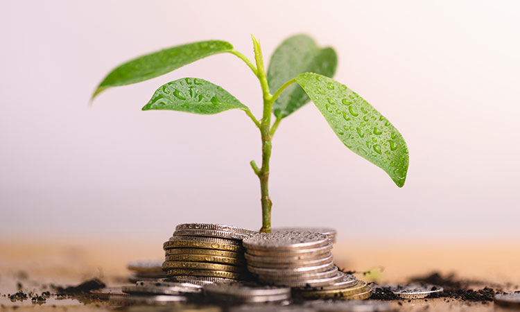 This image shows a seedling sprouting from a pile of loose change, to illustrate the concept of saving for retirement.