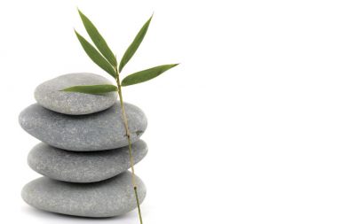 eing in this profession as both a massage practitioner and teacher has afforded me the gift and opportunity to consistently learn, grow, make mistakes and start all over again.