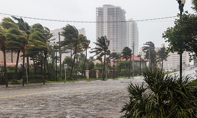 One in every four businesses will be faced with some type of situation that threatens its livelihood. Having a natural disaster plan in place can help.