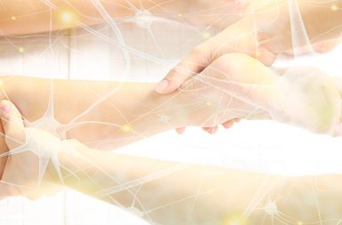 His Visceral Manipulation, Neural Manipulation and Vascular Manipulation courses are taught in North America and in more than 60 countries by himself and a team of certified instructors who complete a rigorous training program with Barral.