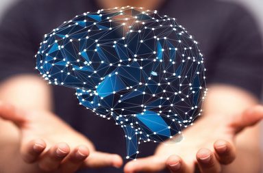 Tissue damage is an easy target for blame in the chronic pain arena; but although tissue damage may be directly or indirectly involved, it is only one of the many factors that lead to a painful, confusing presentation of symptoms.