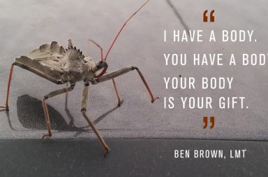 Ben Brown, LMT, is channeling his creativity into a nationwide massage PR campaign for massage therapists . Brown, is on a mission to help massage therapists better market themselves and give positive exposure to the entire profession.