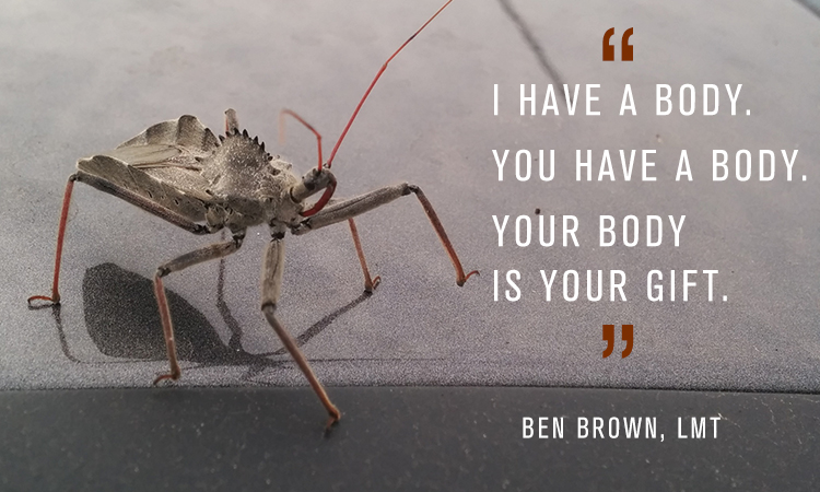 Ben Brown, LMT, is channeling his creativity into a nationwide massage PR campaign for massage therapists . Brown, is on a mission to help massage therapists better market themselves and give positive exposure to the entire profession.