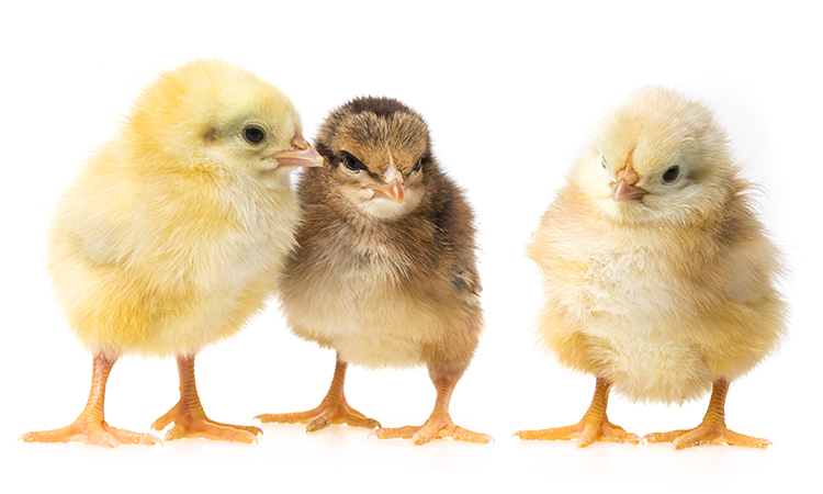 Social media for massage therapists; if used correctly, it can be a way of progressing in your career.