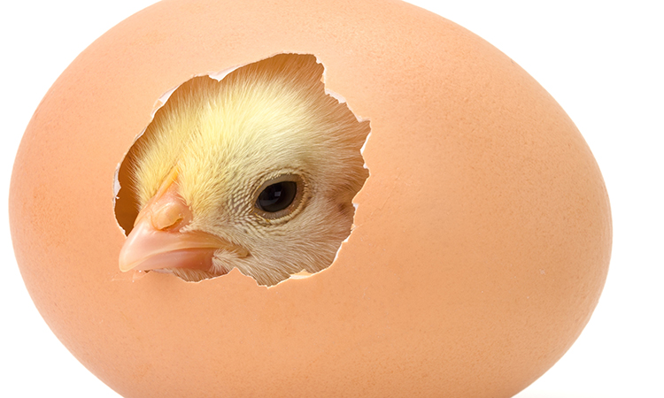 Social media for massage therapists; if used correctly, it can be a way of progressing in your career.