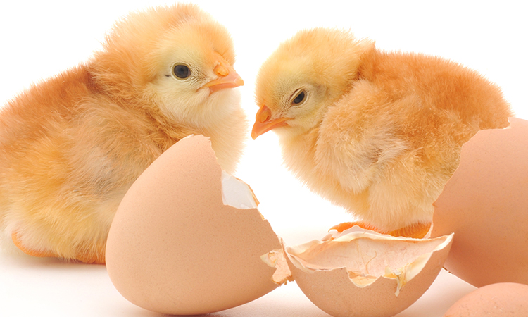 Social media for massage therapists; if used correctly, it can be a way of progressing in your career.