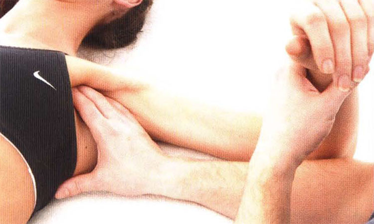 The Secret Serratus Society is a cute name for a group of muscles that hide out between the shoulder and the breath. Opening these tissues can either free the breath of extra burden, or ease the shoulders into a more comfy place.