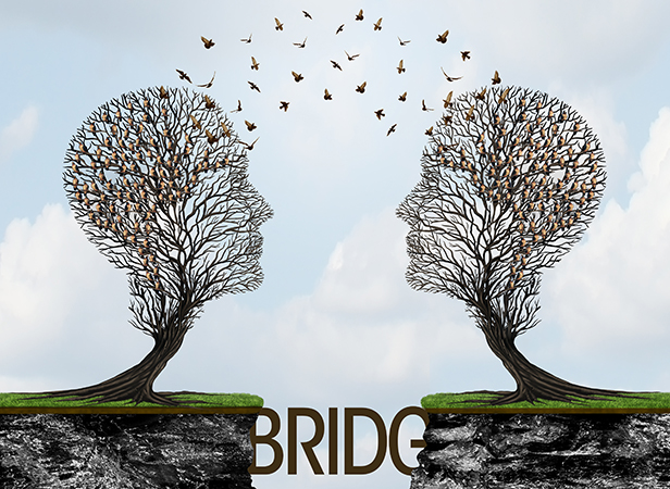 Communicating from distance as two trees shaped as a human head with birds in transit across cliffs as a business metaphor for commerce reach with 3D illustration elements.