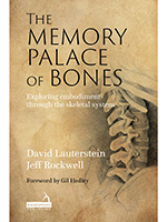 The Memory Palace of Bones book cover