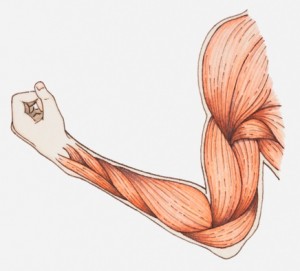arm_illo
