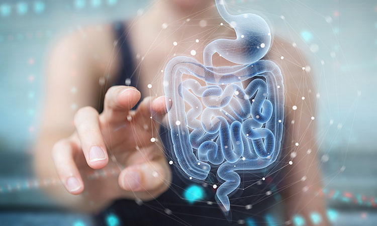 We all know a strong immune system is a way to fight off sickness, but did you know the health of your gut relates directly to the health of your immune system? A healthy gut means a healthy you.