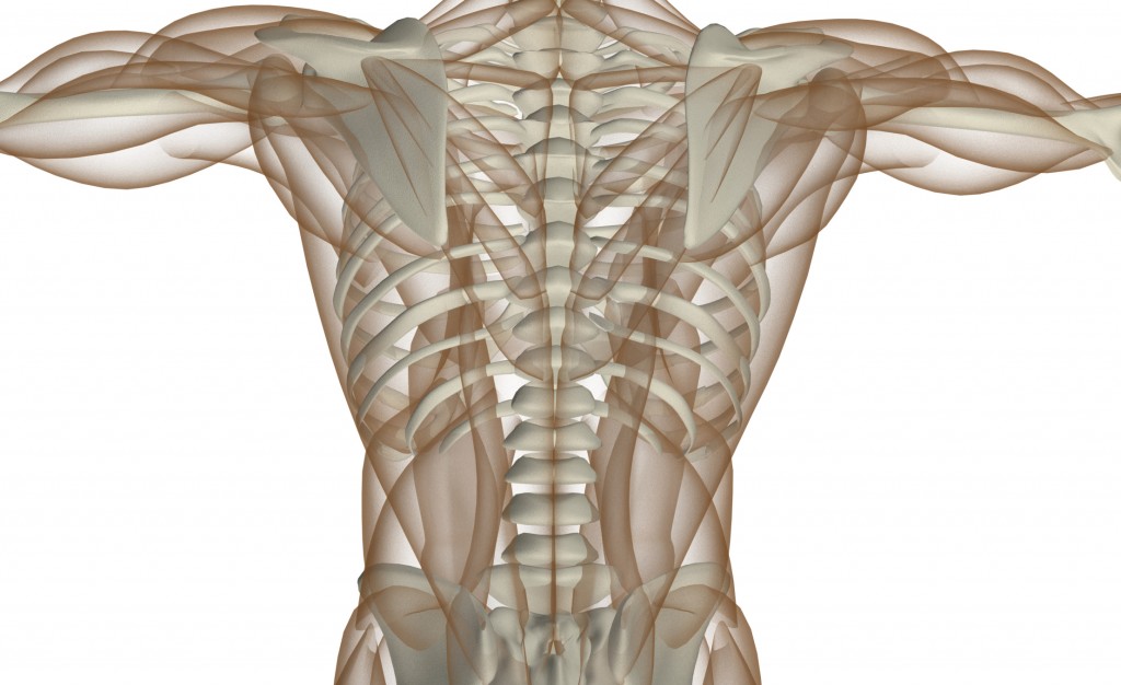 posture