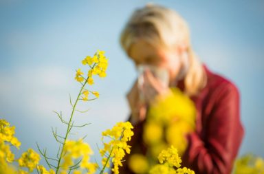 Now that spring is here, many of your clients are probably suffering from seasonal allergies. How can hands-on work help them? Many of our clients experience allergy symptoms that can be effectively addressed by Swedish massage, positional release, lymphatic drainage, trigger-point therapy and CranioSacral Therapy.
