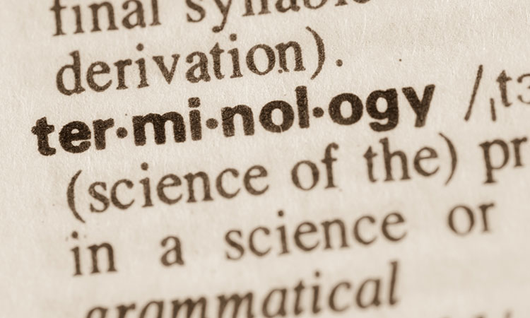 The unique and non-descriptive language used in massage therapy creates confusion among massage therapists, other health and medical professionals, and the general public.