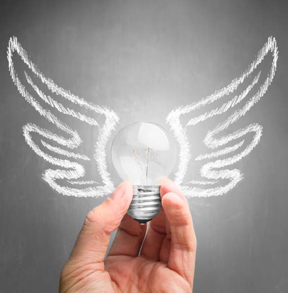 winged lightbulb representing advanced certification
